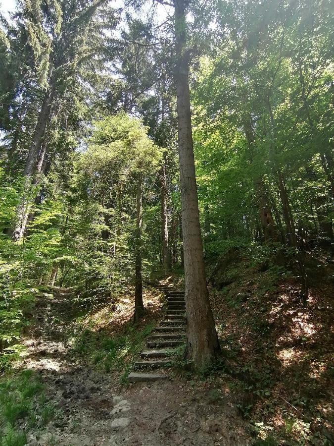 Petkovi Аpartments, Borovets Gardens - One-Bedroom And Two-Bedroom Apartments Bagian luar foto