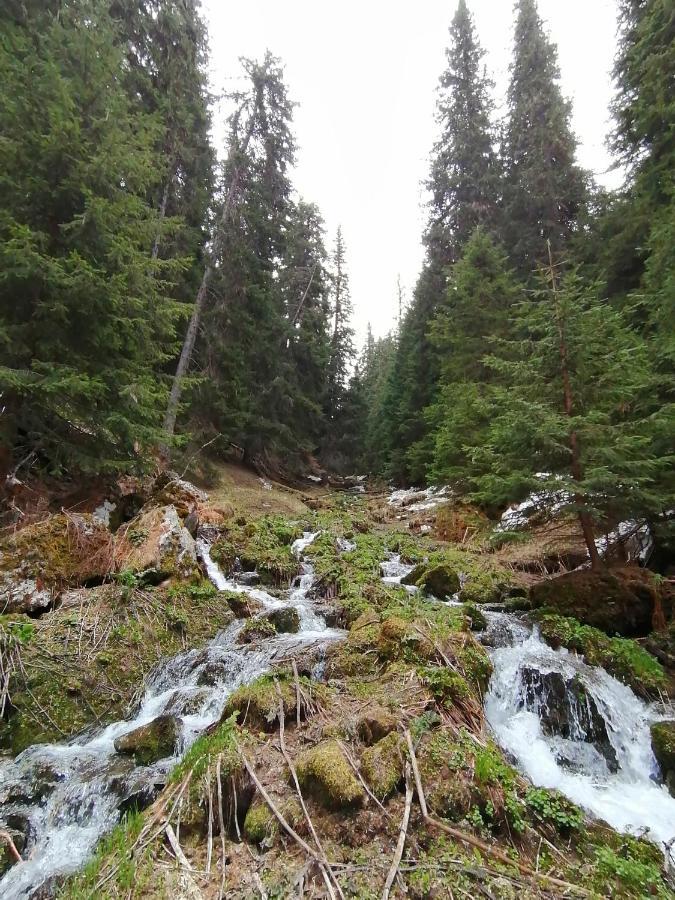Petkovi Аpartments, Borovets Gardens - One-Bedroom And Two-Bedroom Apartments Bagian luar foto