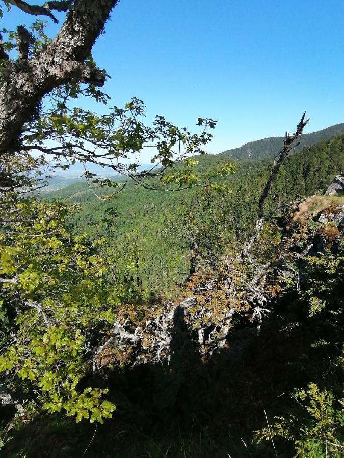Petkovi Аpartments, Borovets Gardens - One-Bedroom And Two-Bedroom Apartments Bagian luar foto